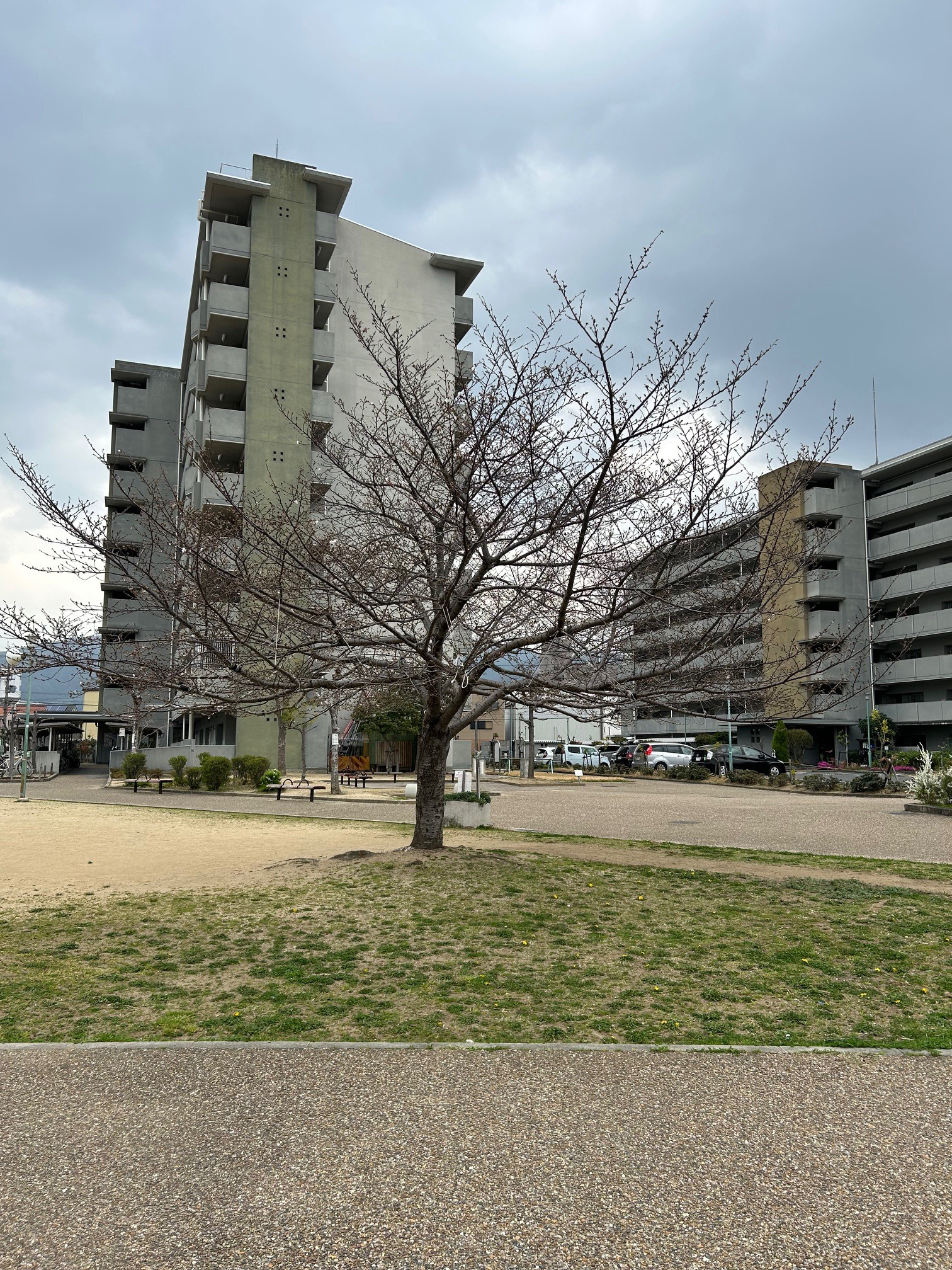 2025年12月1日