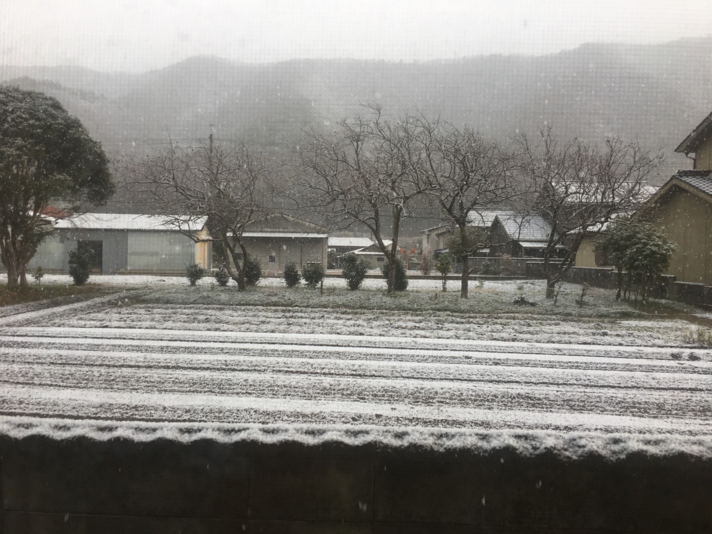 2019年1月17日