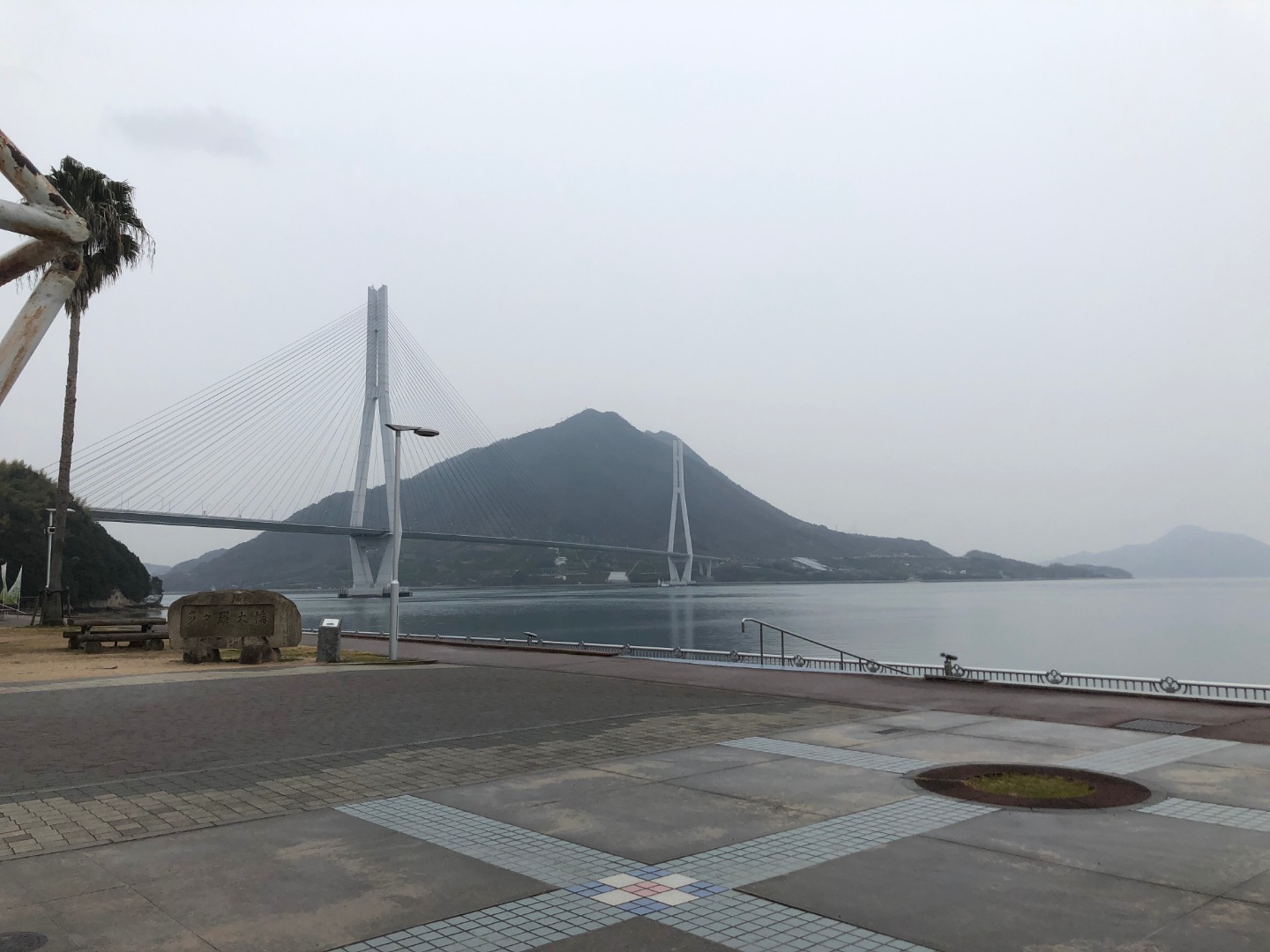 2019年2月14日