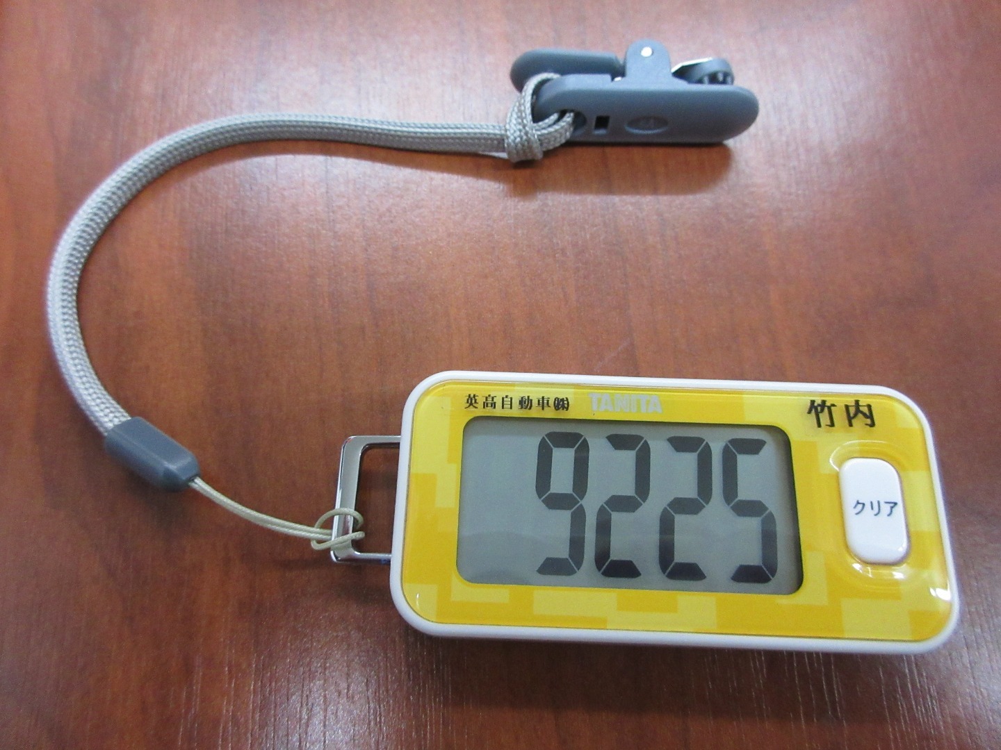 2019年3月8日