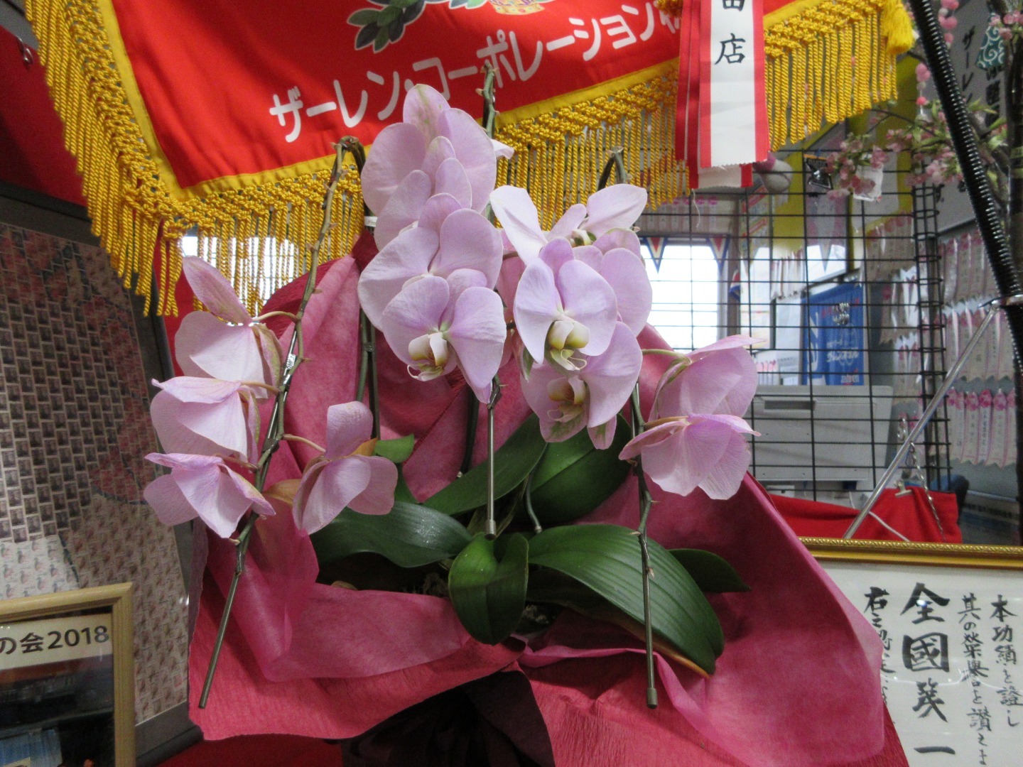 2019年3月14日