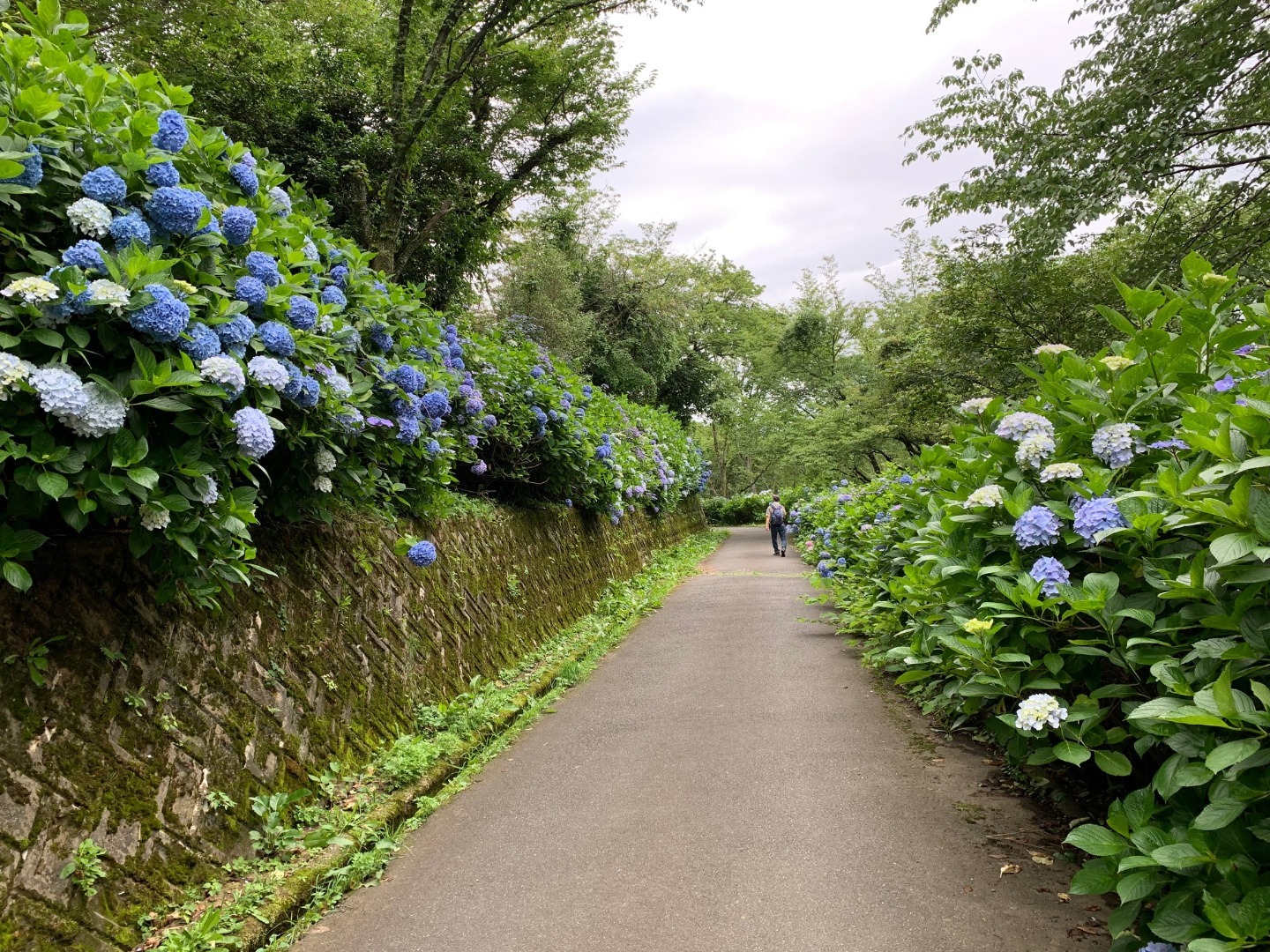 2019年8月28日