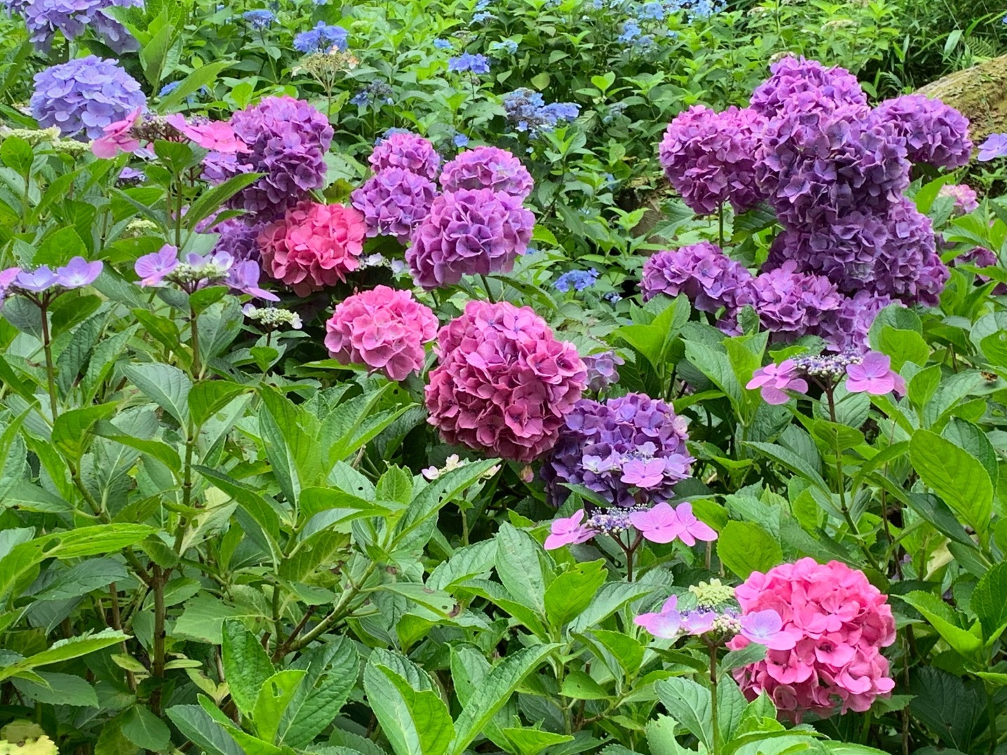 2019年8月28日