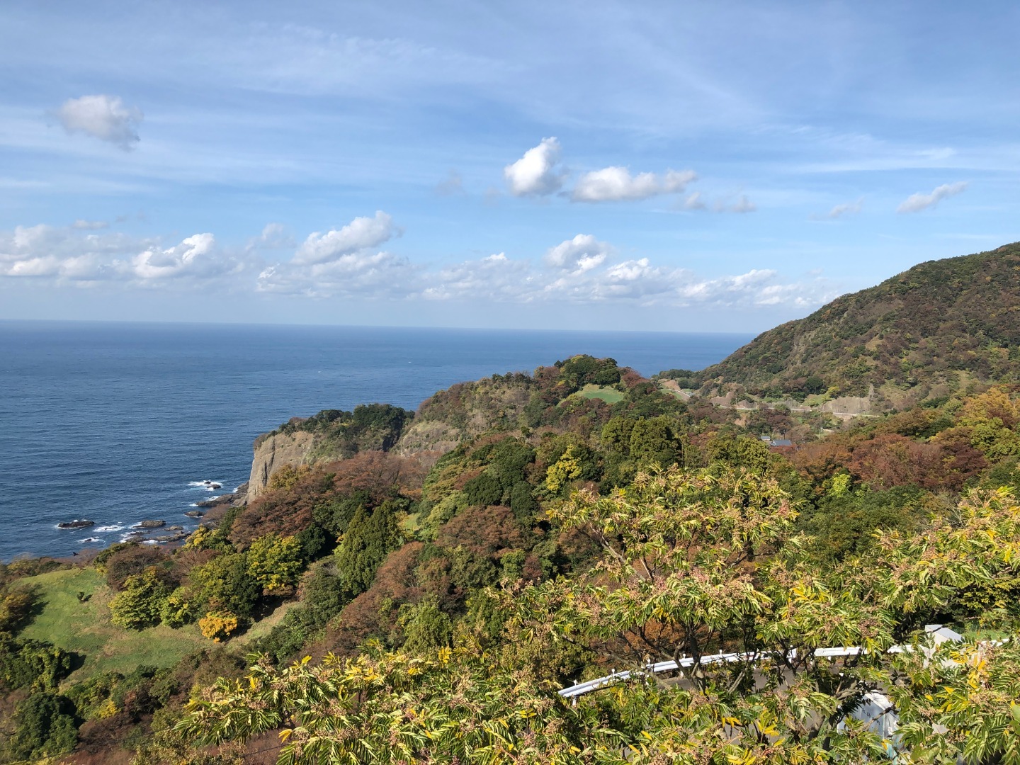 2019年11月19日