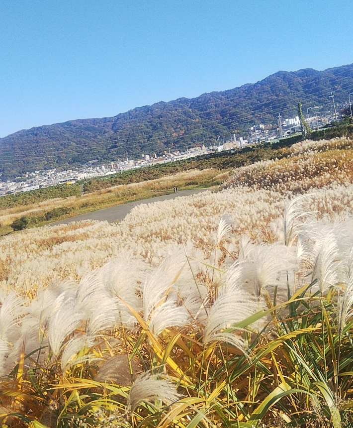 2019年11月25日
