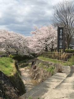 2020年4月28日