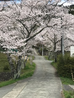 2020年4月28日