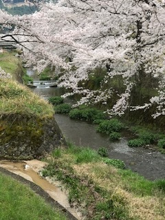 2020年4月28日