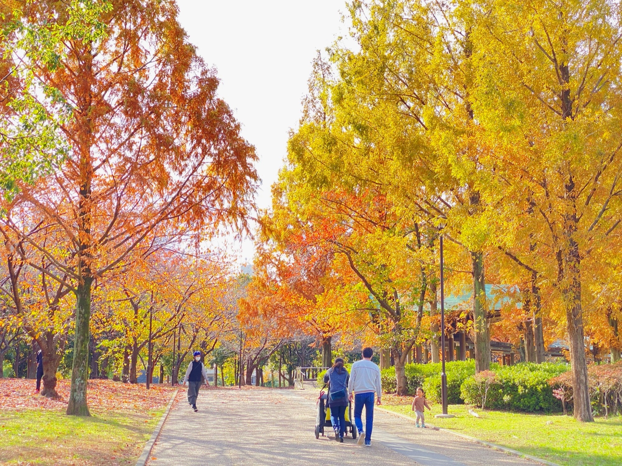 2020年11月26日