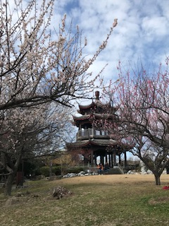 2021年2月25日