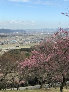 2021年2月25日