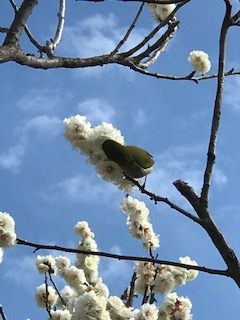 2021年2月25日