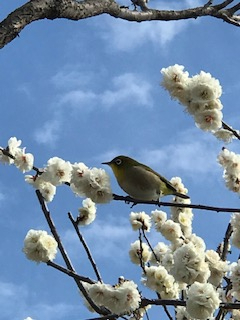 2021年2月25日