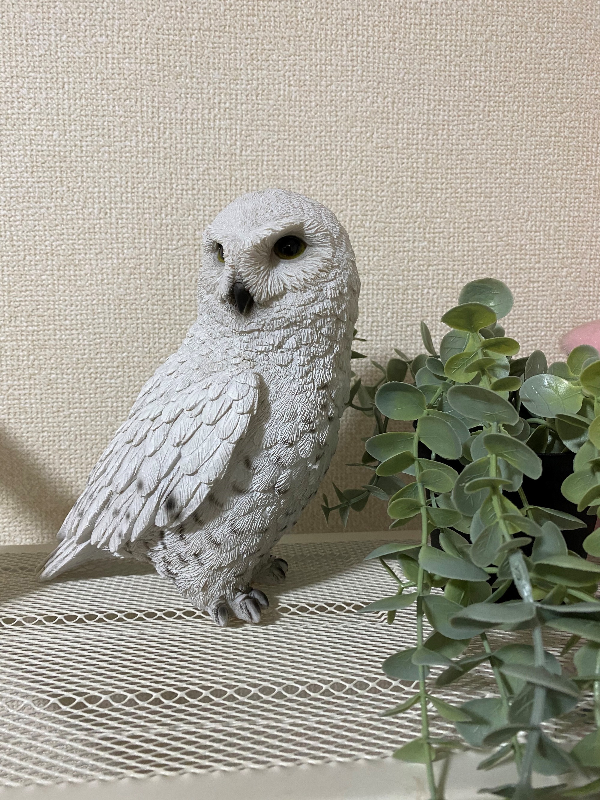 2021年4月19日