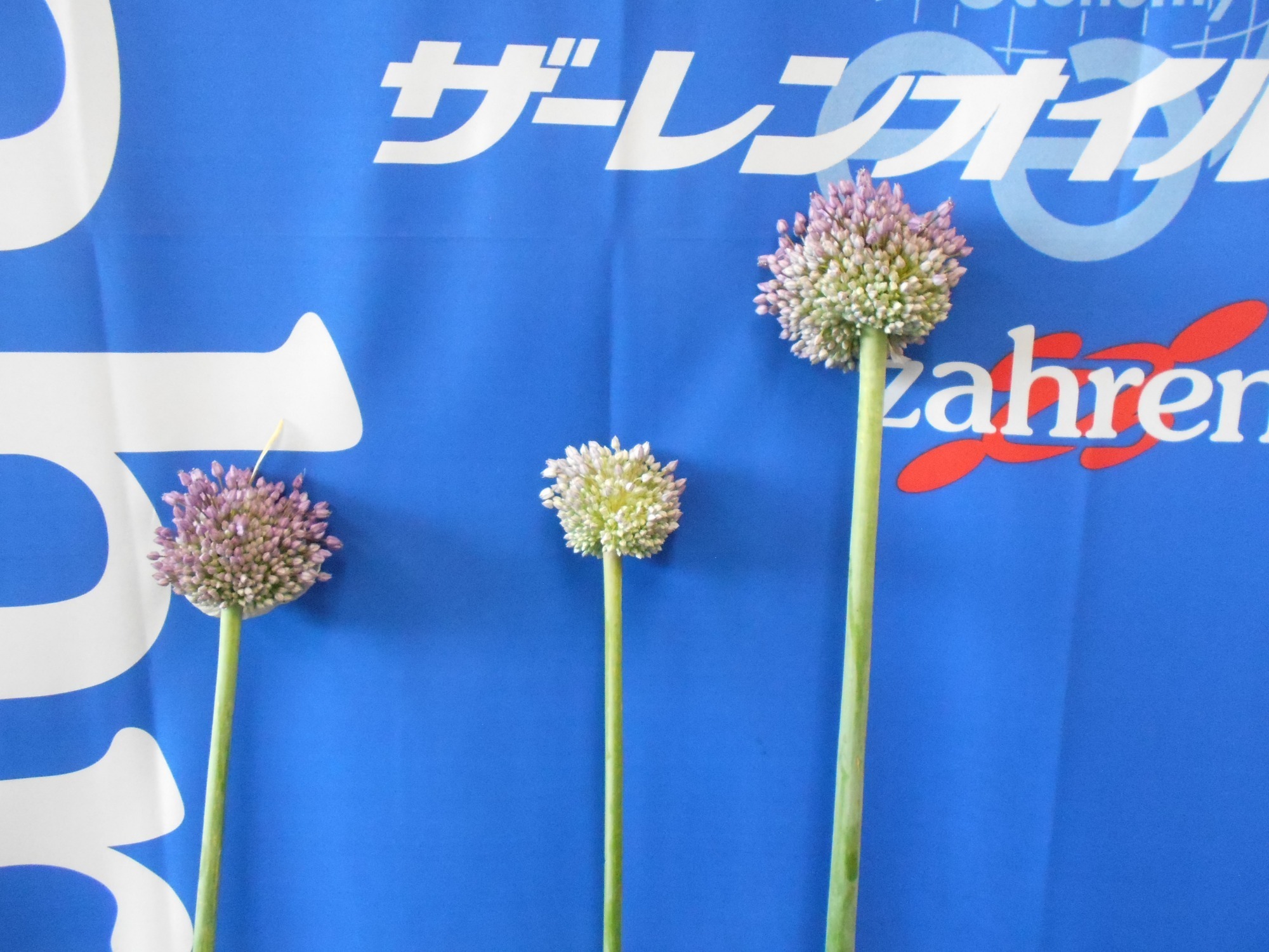 2021年6月9日