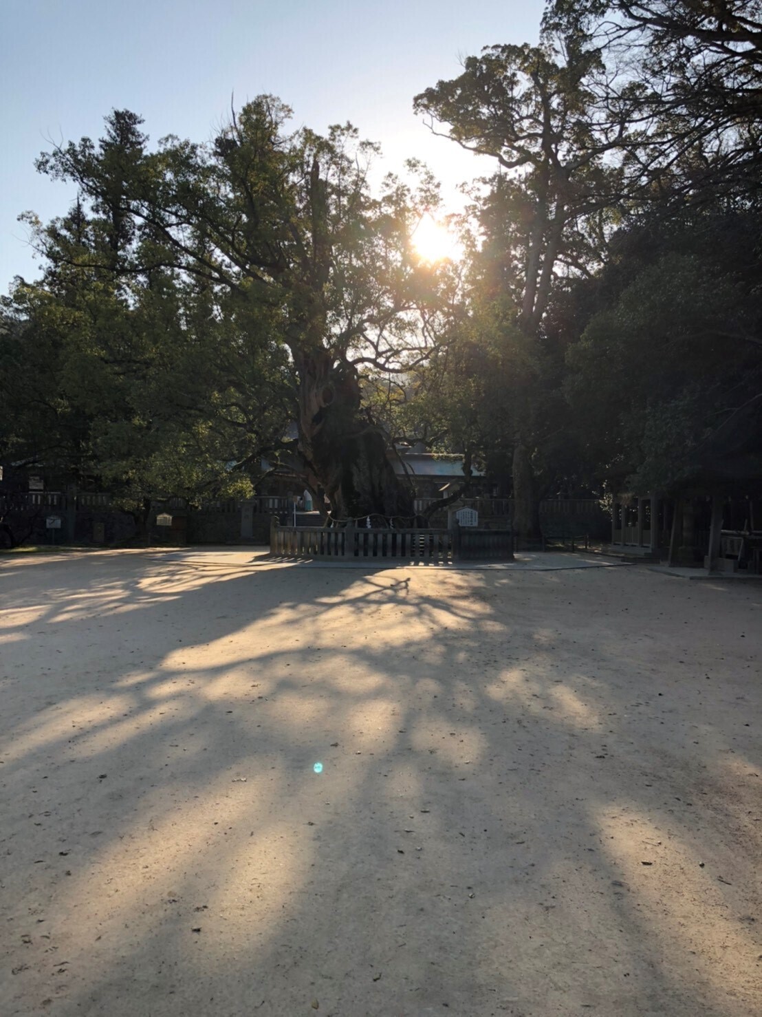 2021年8月2日