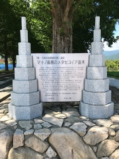2021年8月12日