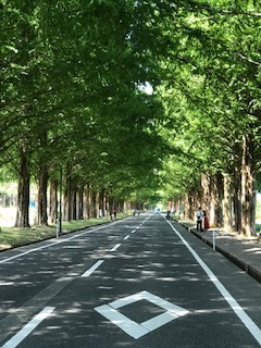 2021年8月12日