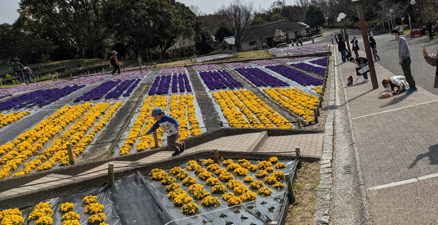 2022年3月15日