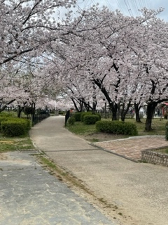 2022年4月16日