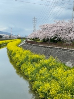 2022年4月16日