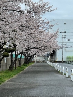 2022年4月16日