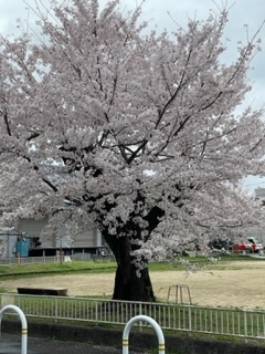 2022年4月16日