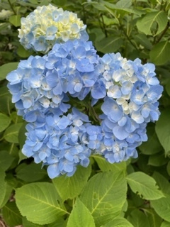 2022年6月28日