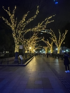2022年12月14日