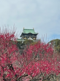 2023年2月25日