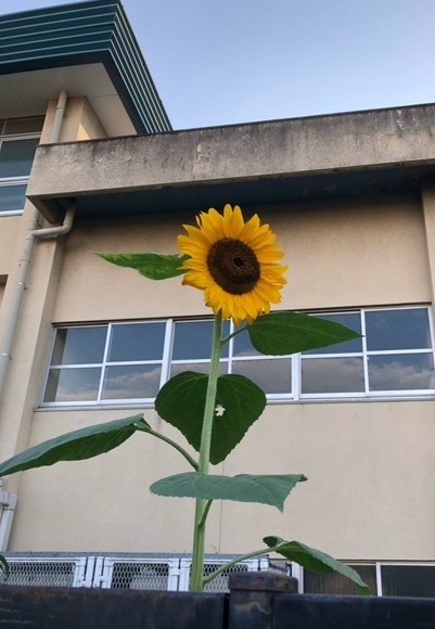 2023年7月31日