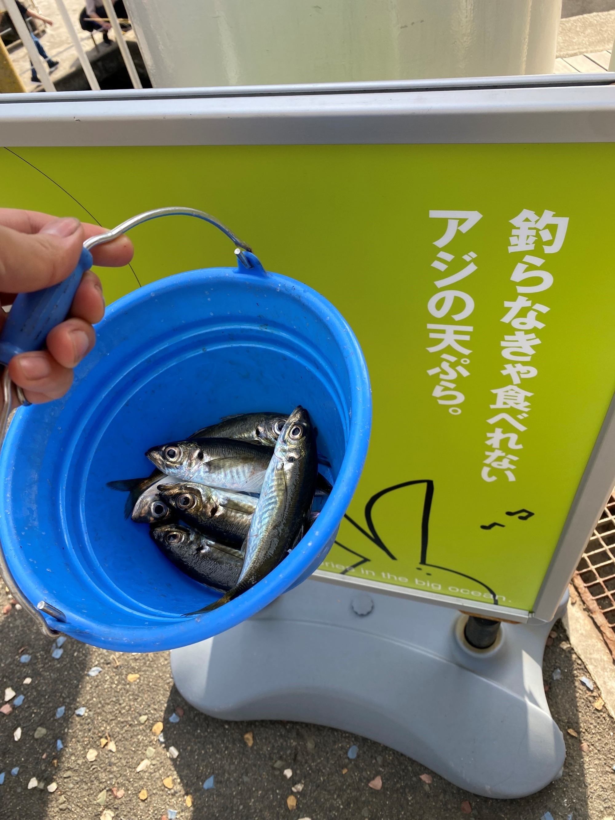 2023年8月6日