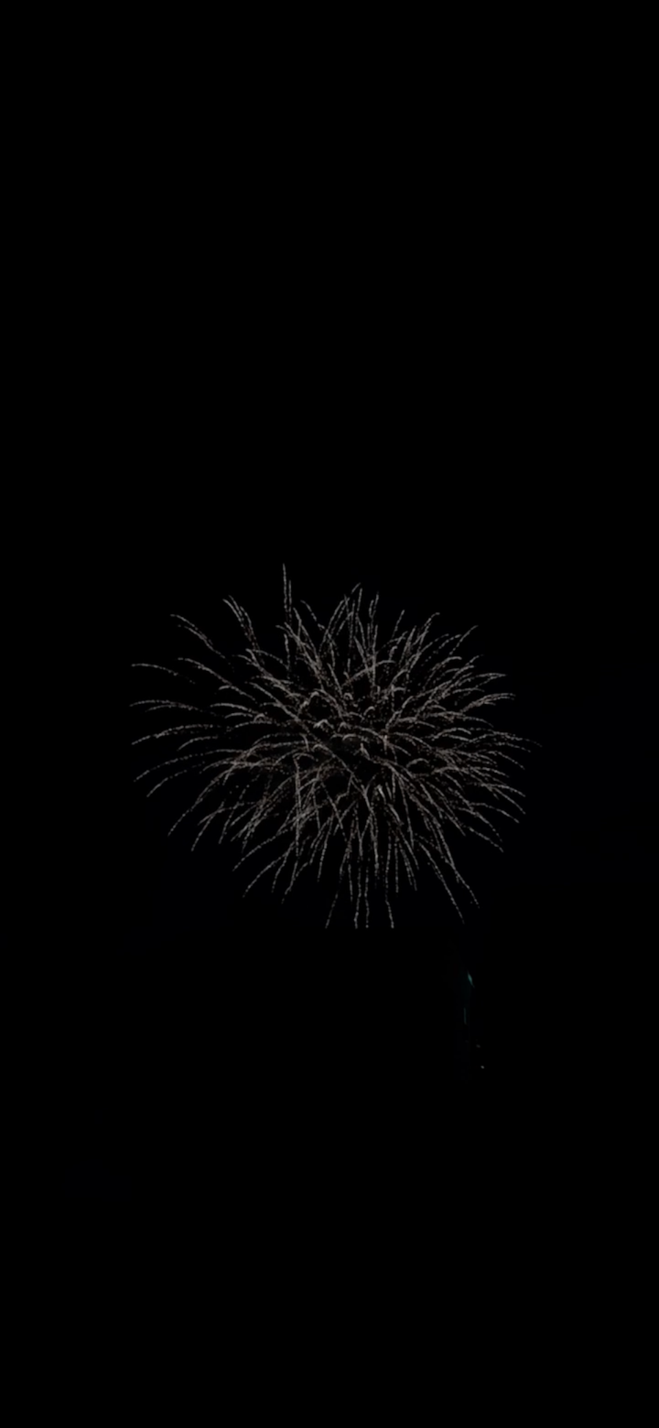 2023年10月8日