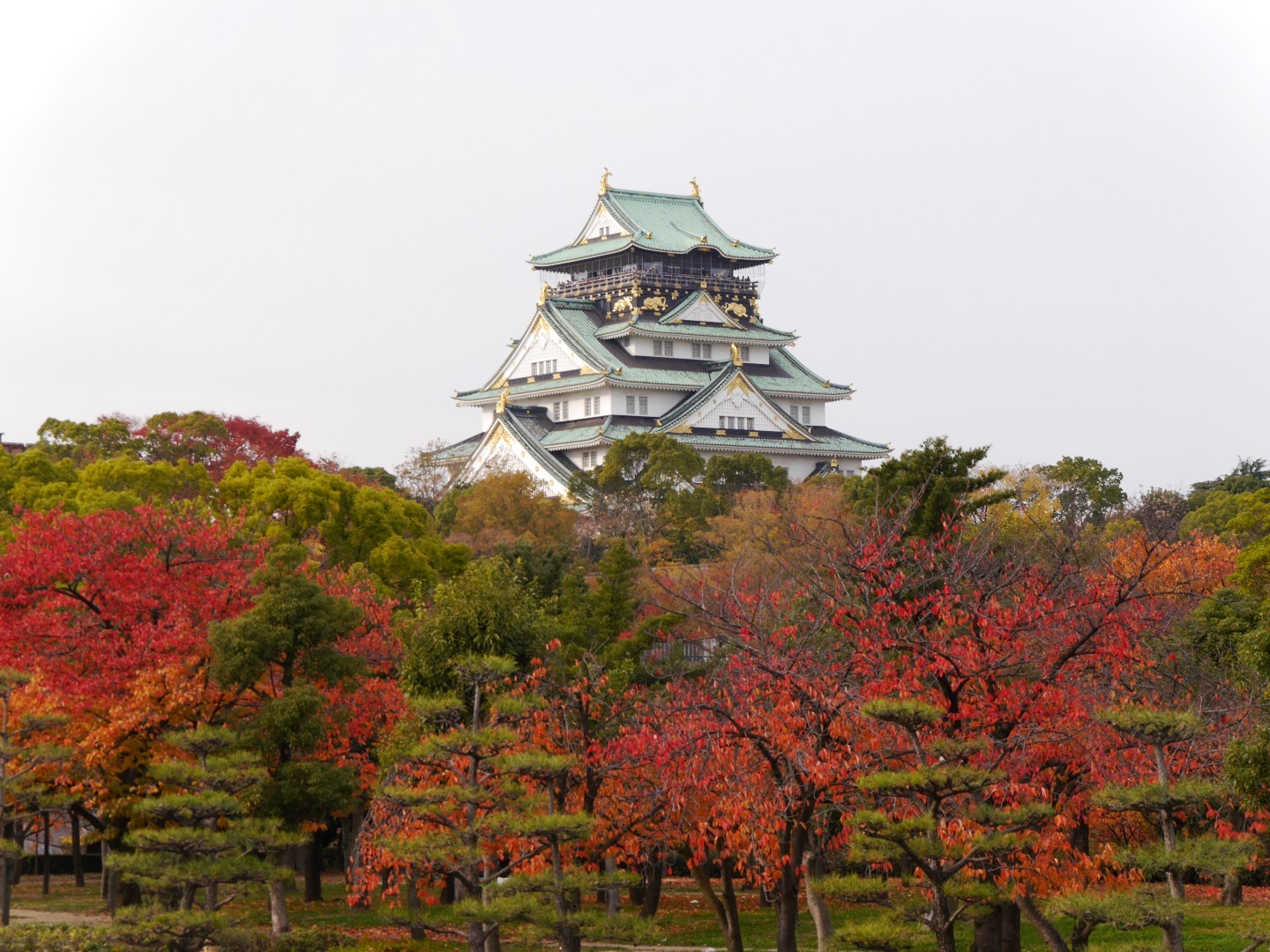 2014年11月29日