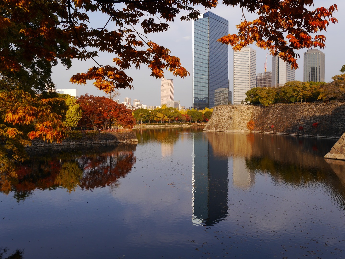 2014年11月29日