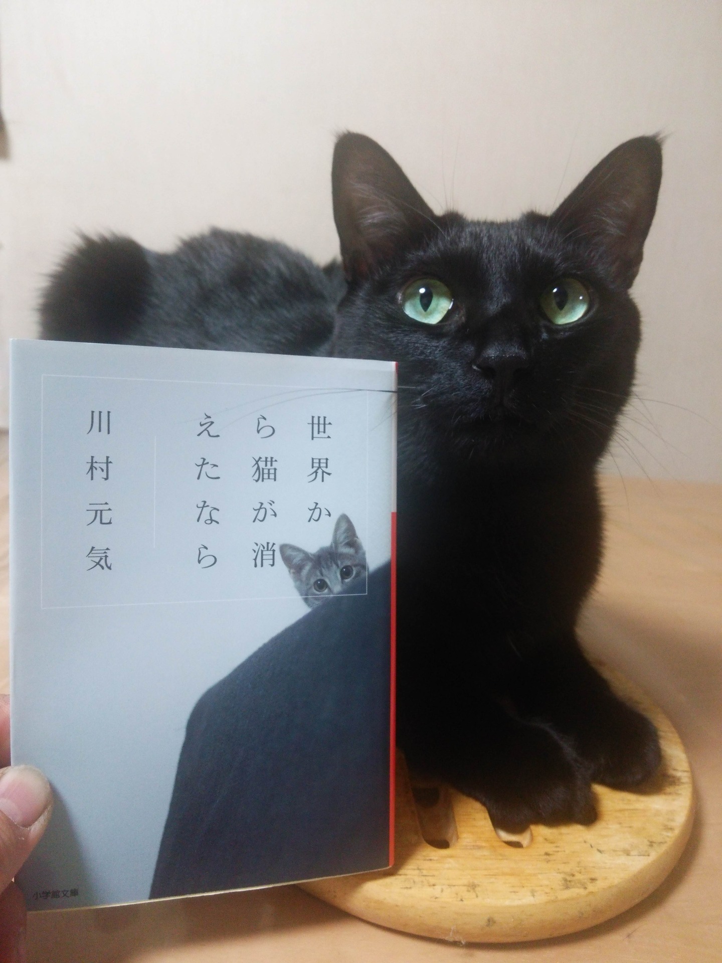 2014年12月14日