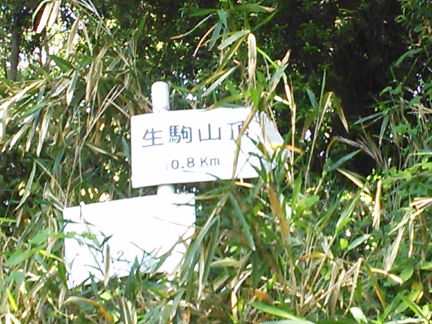 2015年6月5日