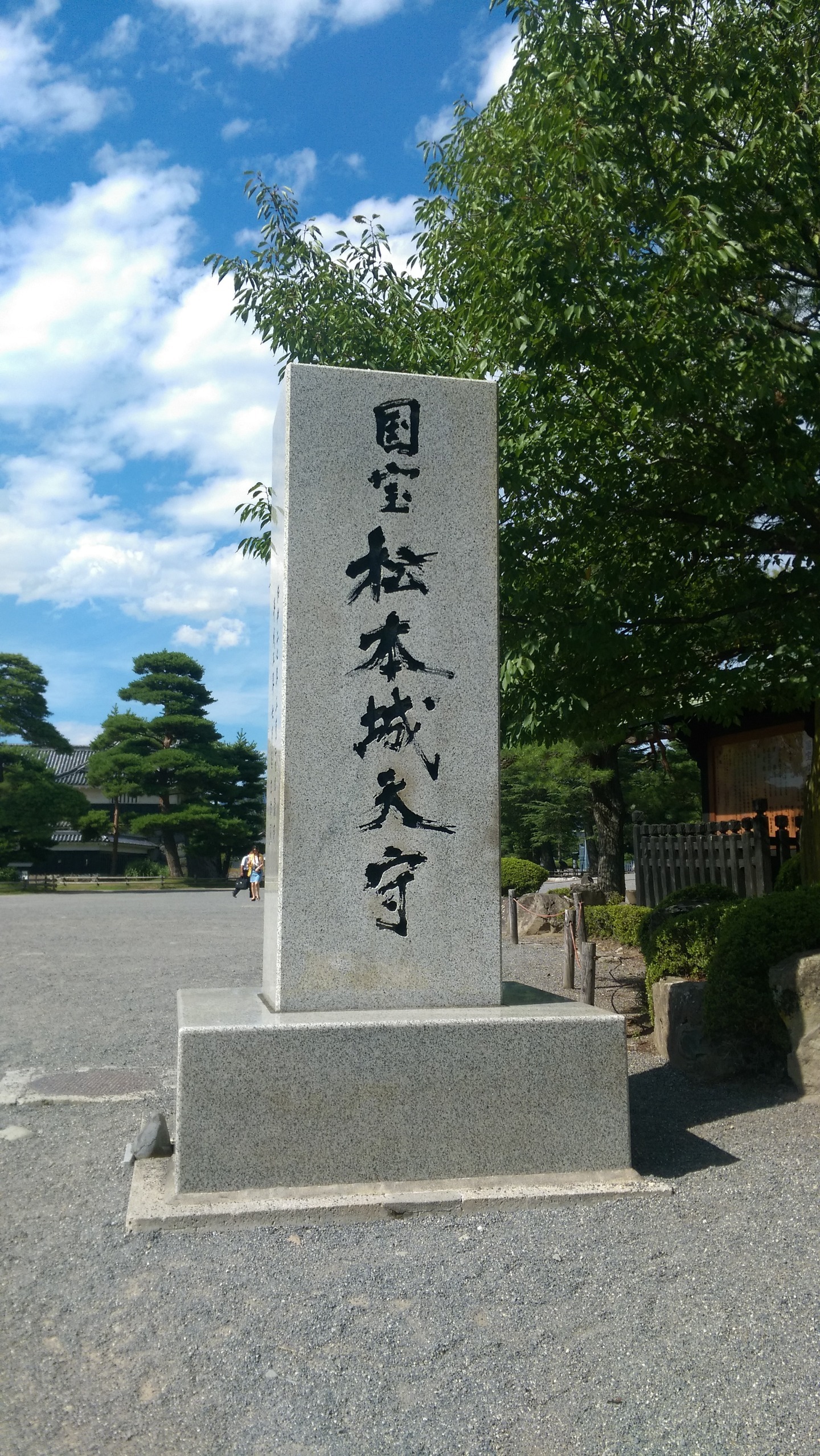 2015年7月29日