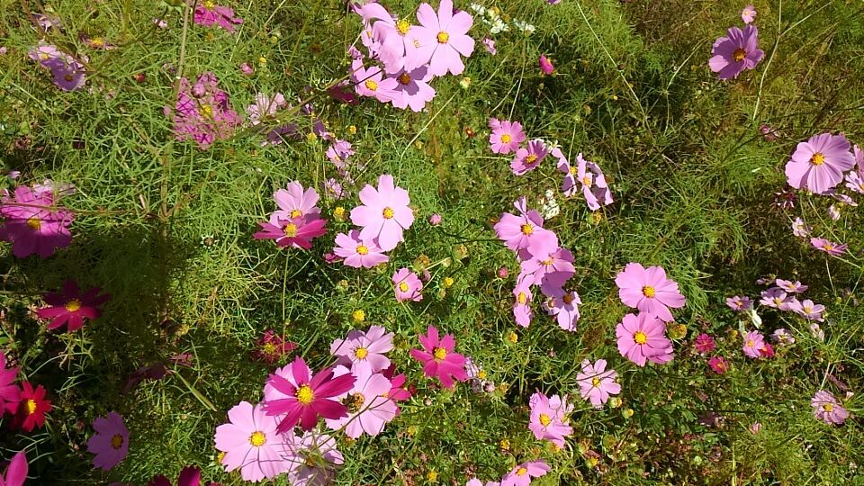 2015年10月19日