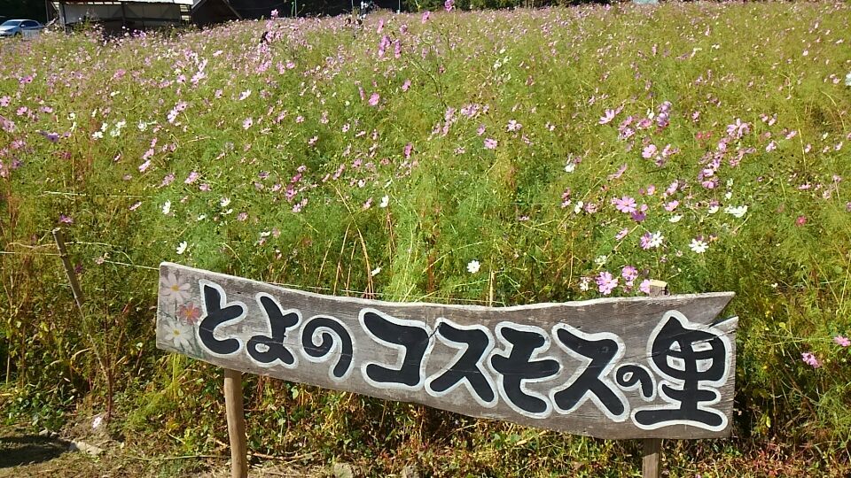 2015年10月19日