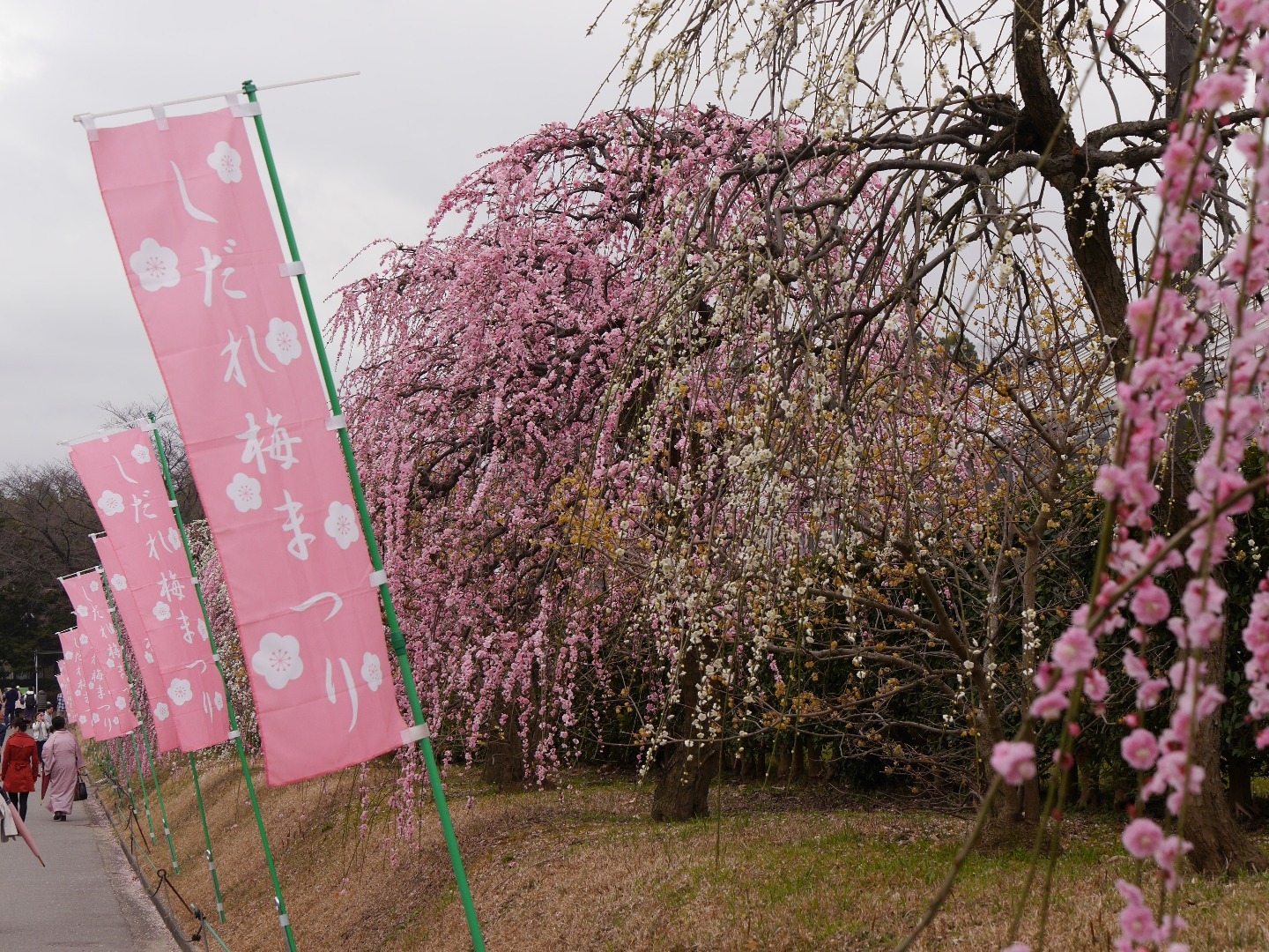 2016年3月7日