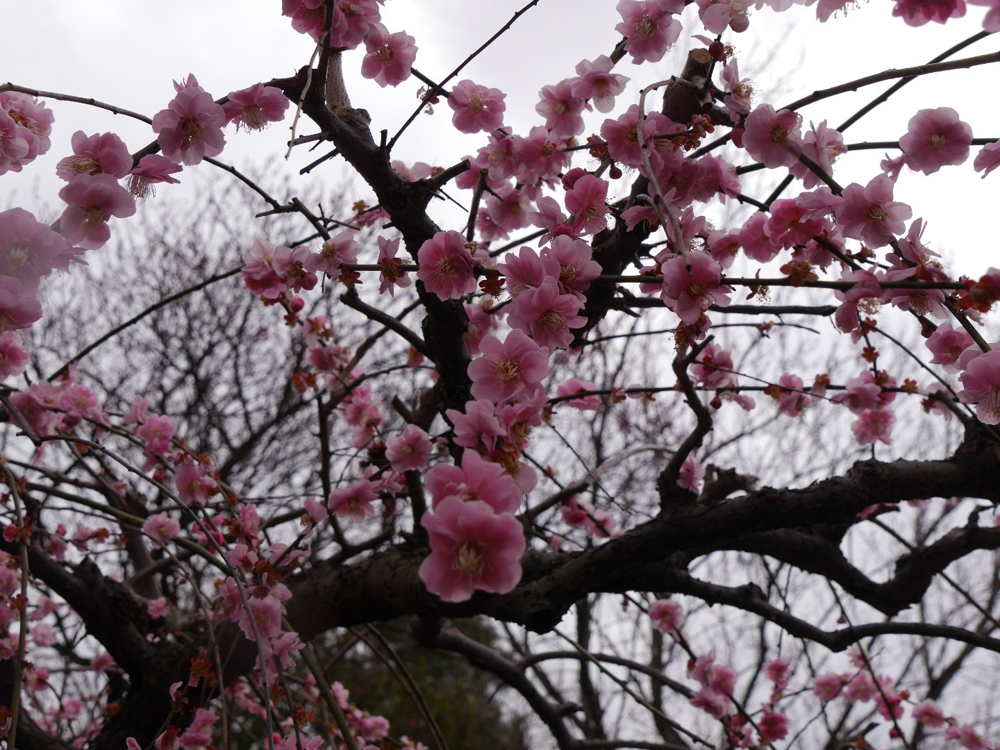 2016年3月7日