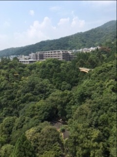 2017年3月22日