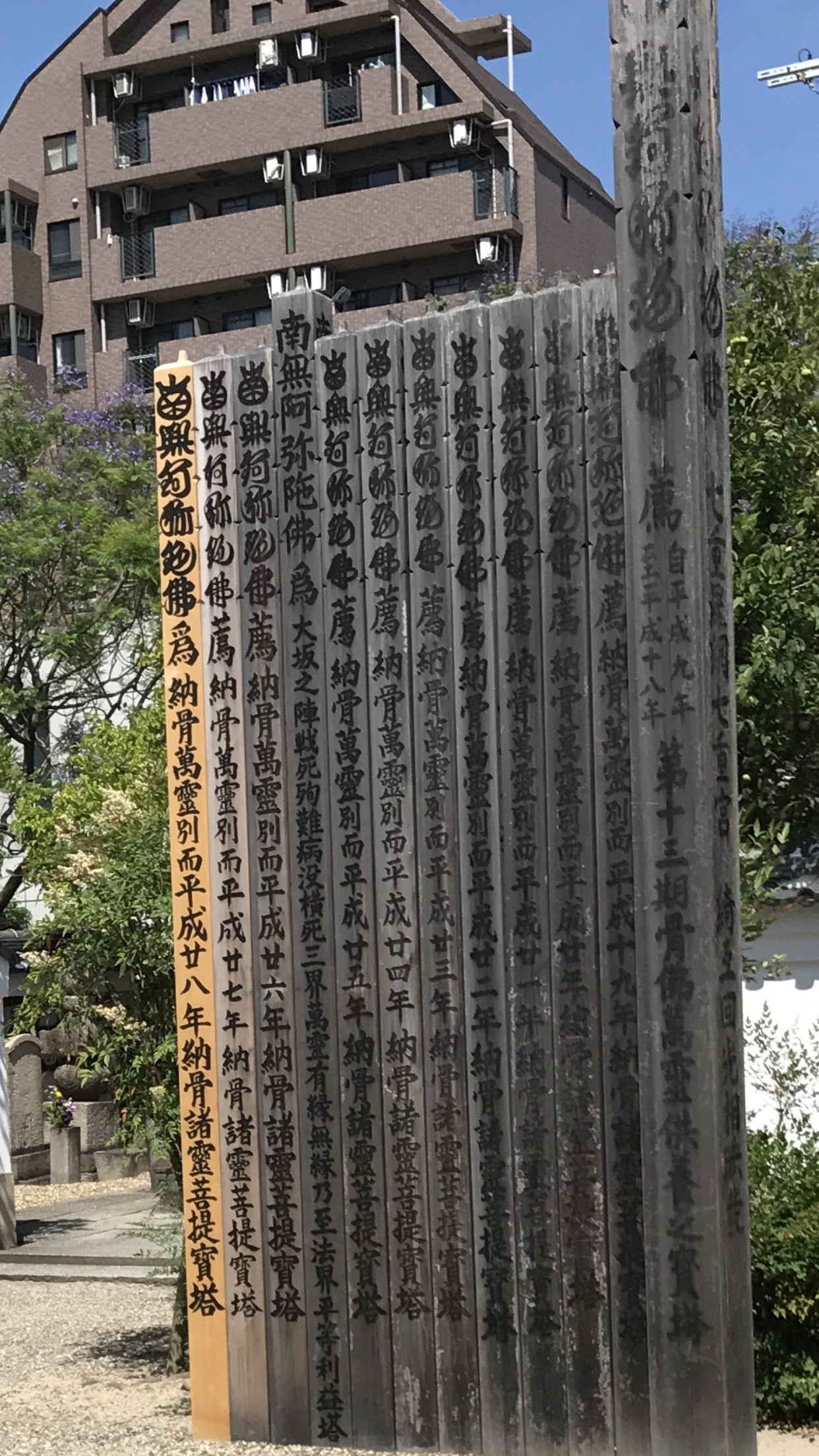 2017年6月5日