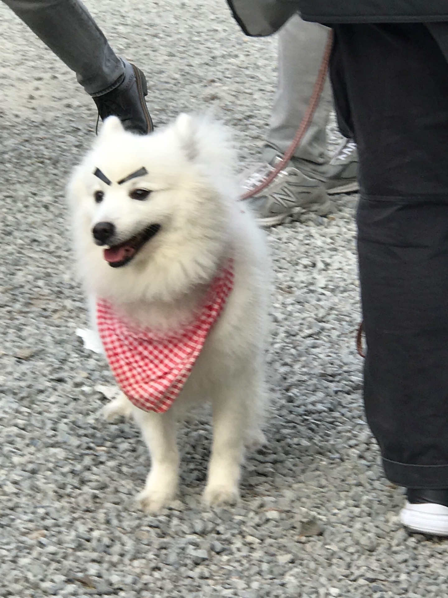 2018年3月28日