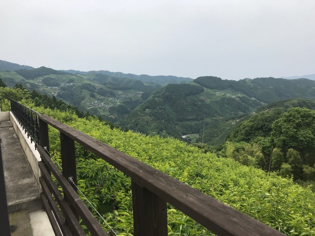 2018年8月23日