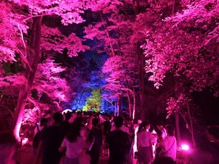 2018年9月4日