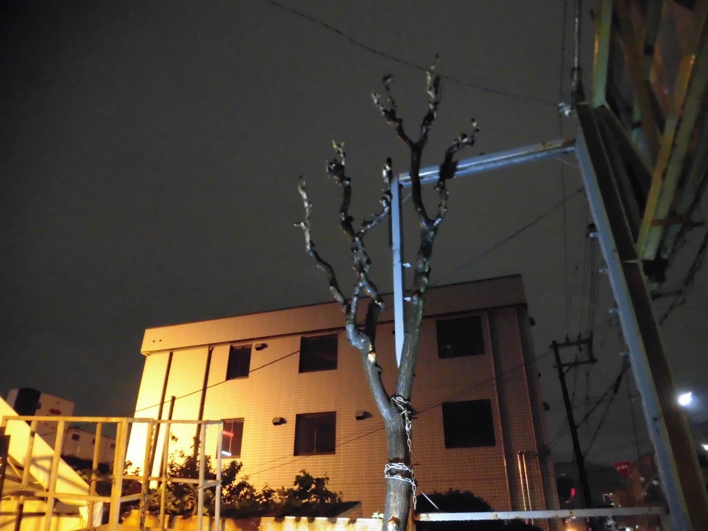 2018年9月20日