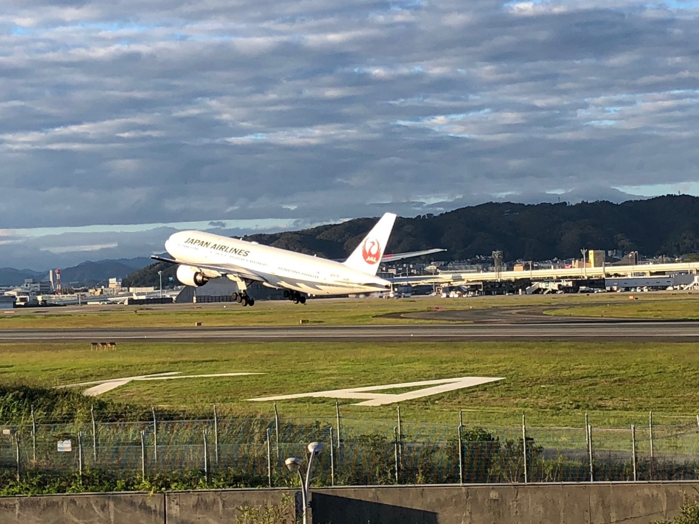 2018年10月11日